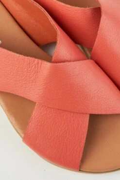 Harli Coral Cross Strap Flat 14 Harli Coral Cross Strap Flat -Blue Illusion bie com13.101378