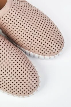 Carla Cutout Plimsol -Blue Illusion carla00004