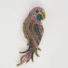Rainbow Parrot Brooch 2 Rainbow Parrot Brooch -Blue Illusion rainbowparrot00001 edit