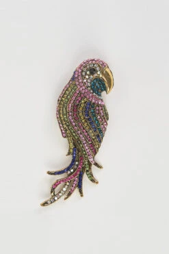 Rainbow Parrot Brooch
